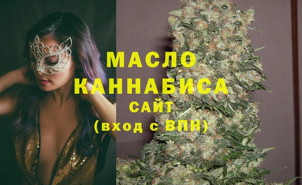 молекула духа Сатка