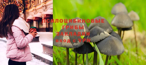 молекула духа Сатка