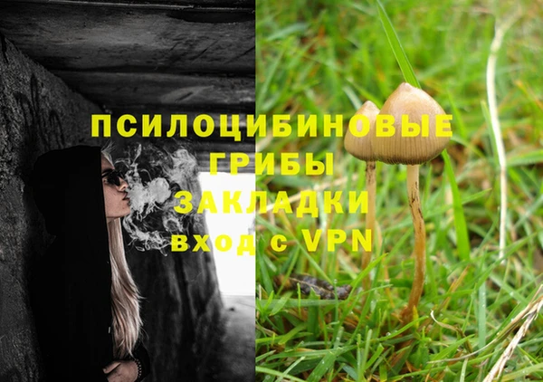 молекула духа Сатка
