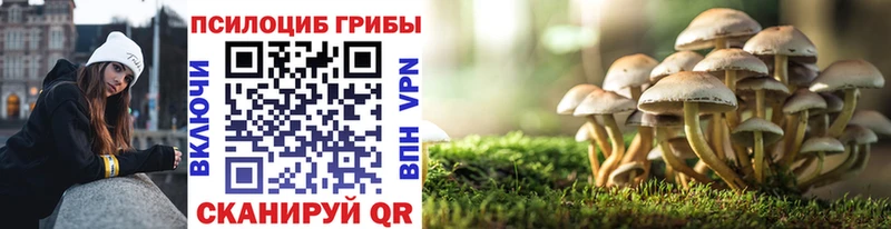 Купить где  Щёкино  Галлюциногенные грибы мицелий 